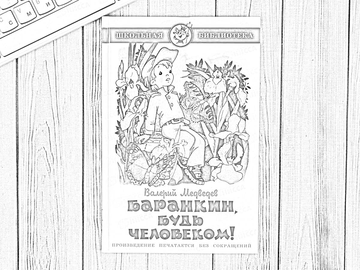 На раскраске изображено: Книга, Обложка, Школьная библиотека, Мальчик, Животные, Природа, Клавиатура