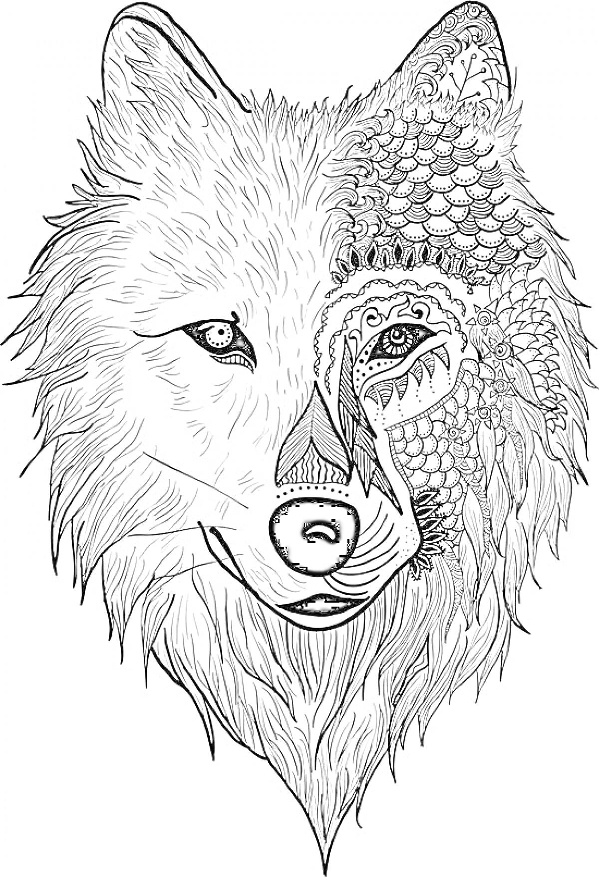 Раскраска Контурное изображение волка с узорами на половине морды