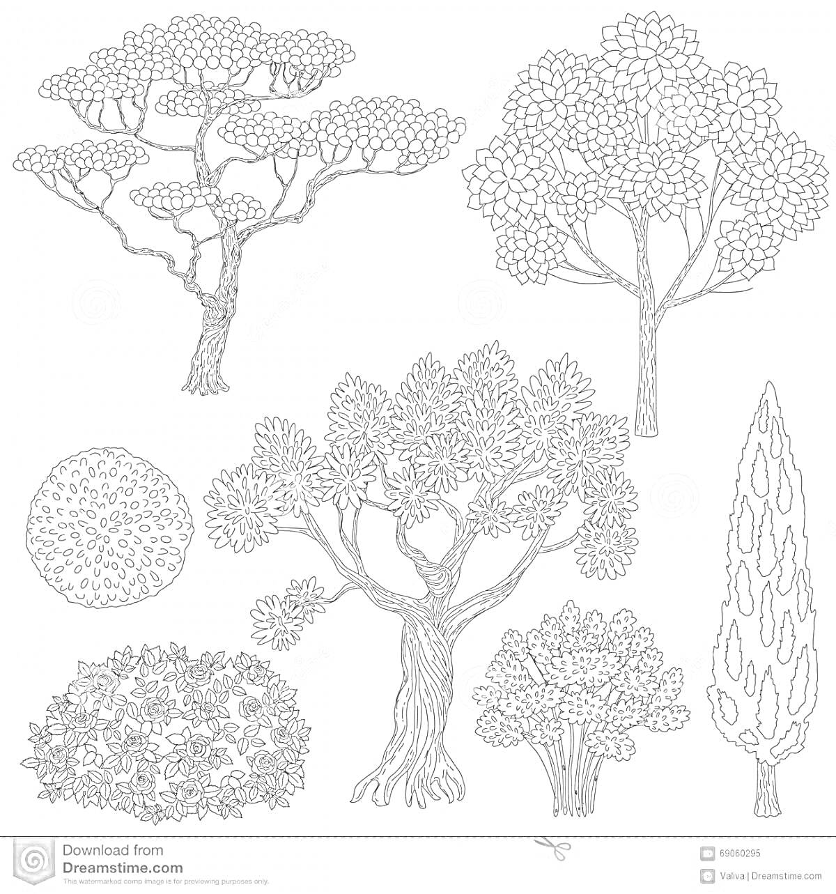 Раскраска разные кустарники и деревья, пять деревьев разной формы, круглый куст и овальный куст с цветами