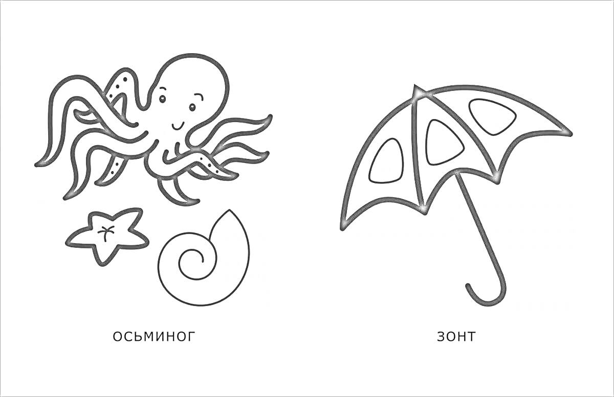 На раскраске изображено: Моллюск, Ракушка, Зонт, Толстый контур, Для детей, Для самых маленьких