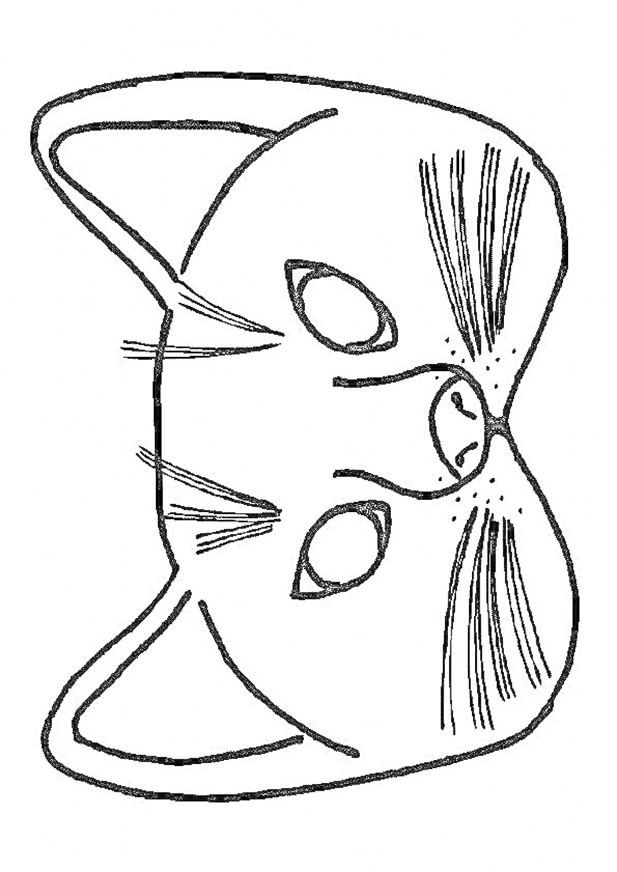Раскраска Маска кошки с ушами, глазами, носом и усами.