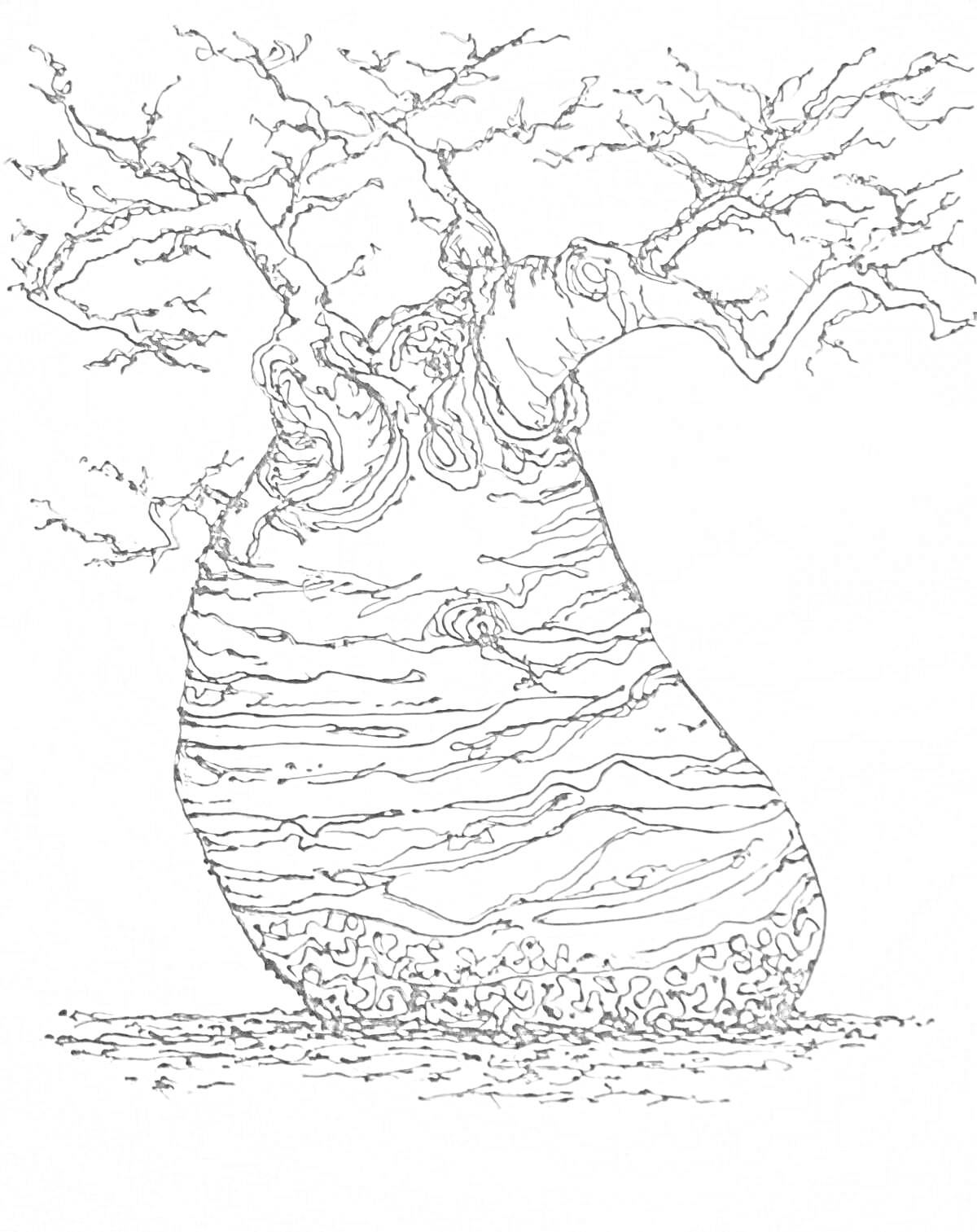 Раскраска Баобаб с изогнутыми ветвями и текстурным стволом