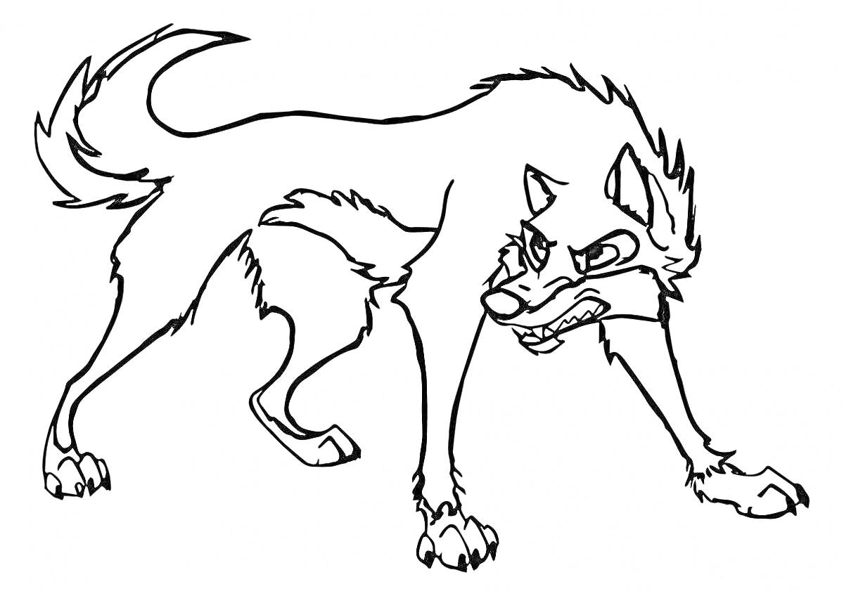 На раскраске изображено: Волчонок, Оскал, Агрессия