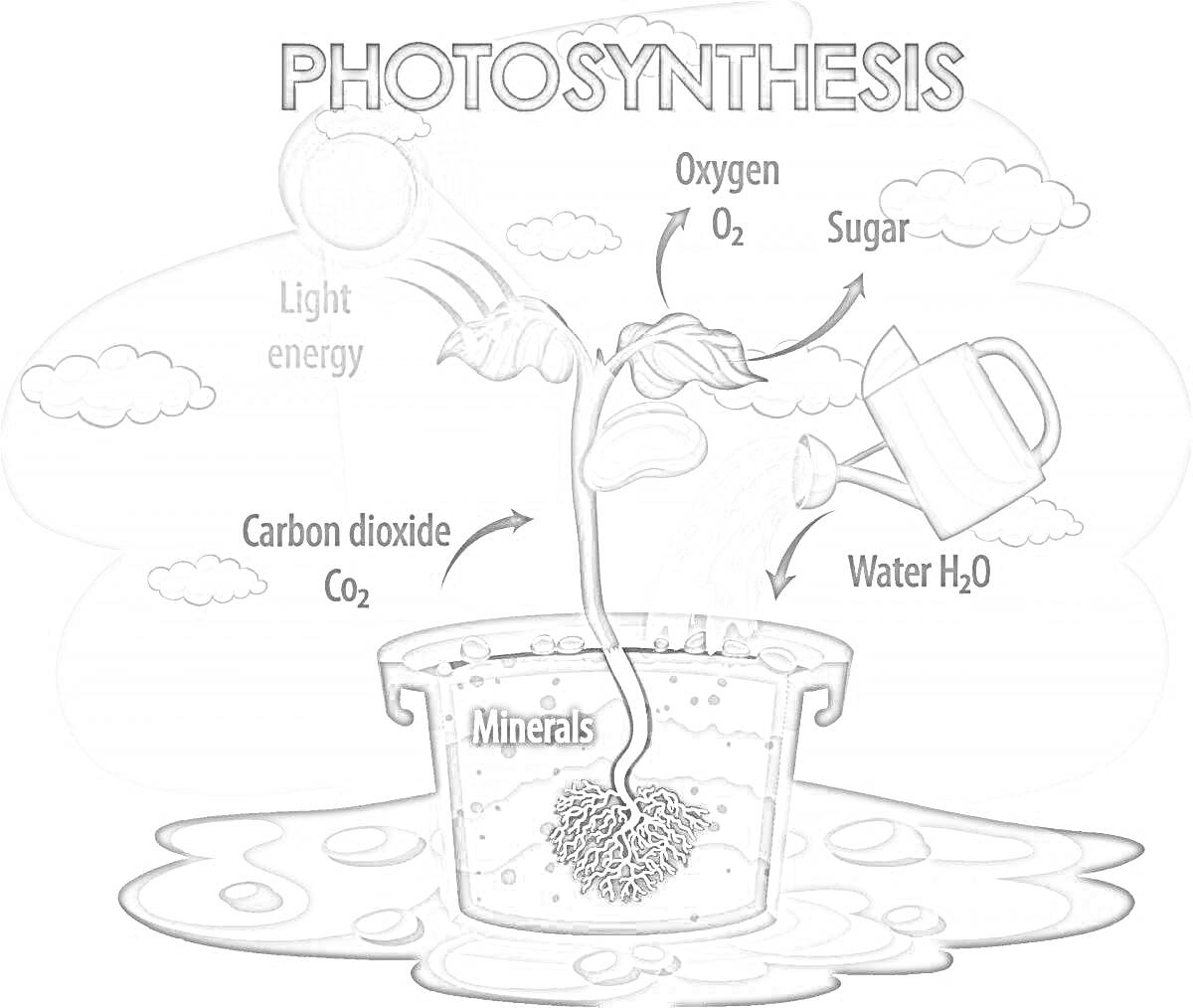 Раскраска Растение, демонстрирующее процесс фотосинтеза, с элементами: световая энергия, углекислый газ (CO₂), кислород (O₂), сахар, вода (H₂O), минералы