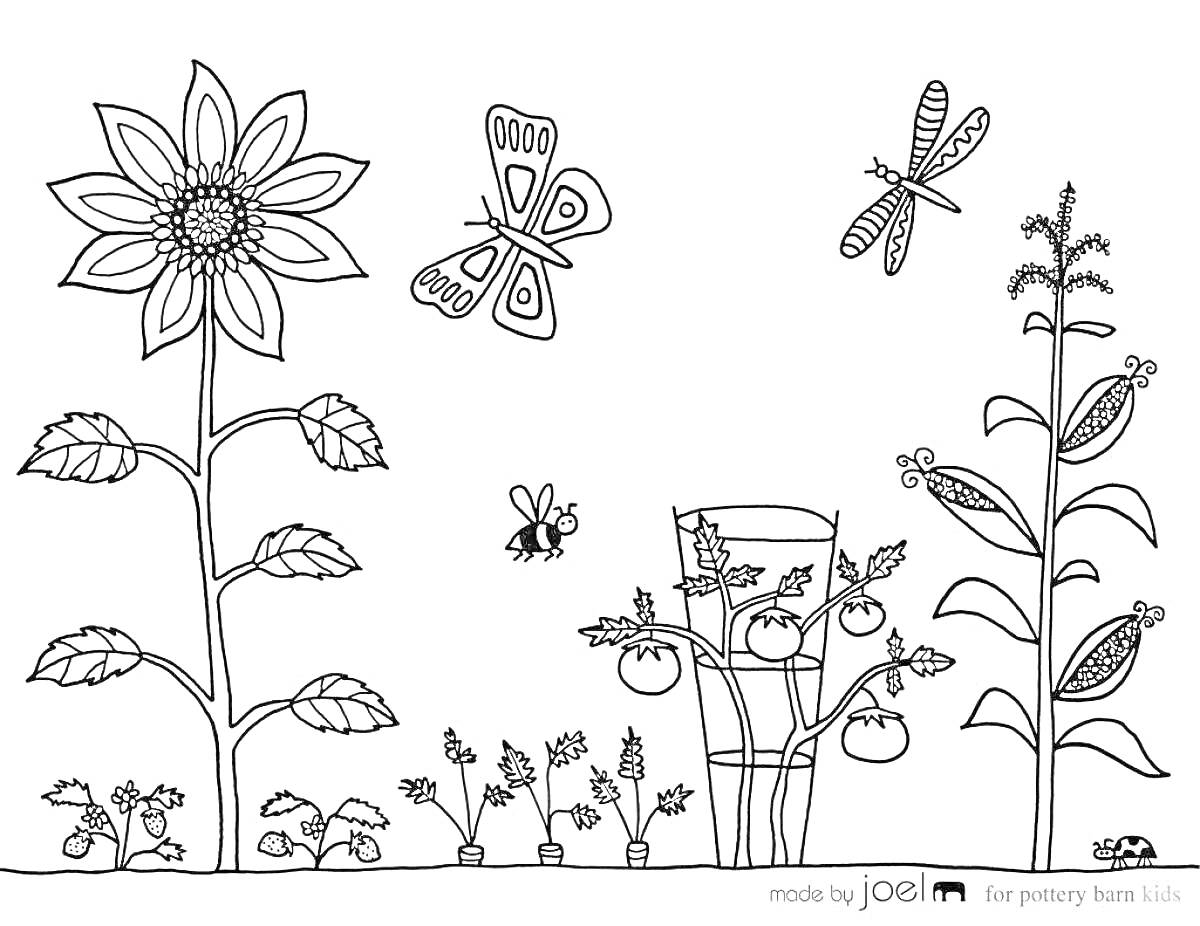 Раскраска Подсолнечник, бабочка, стрекоза, пчела, кукуруза, кустики с цветами и помидорами