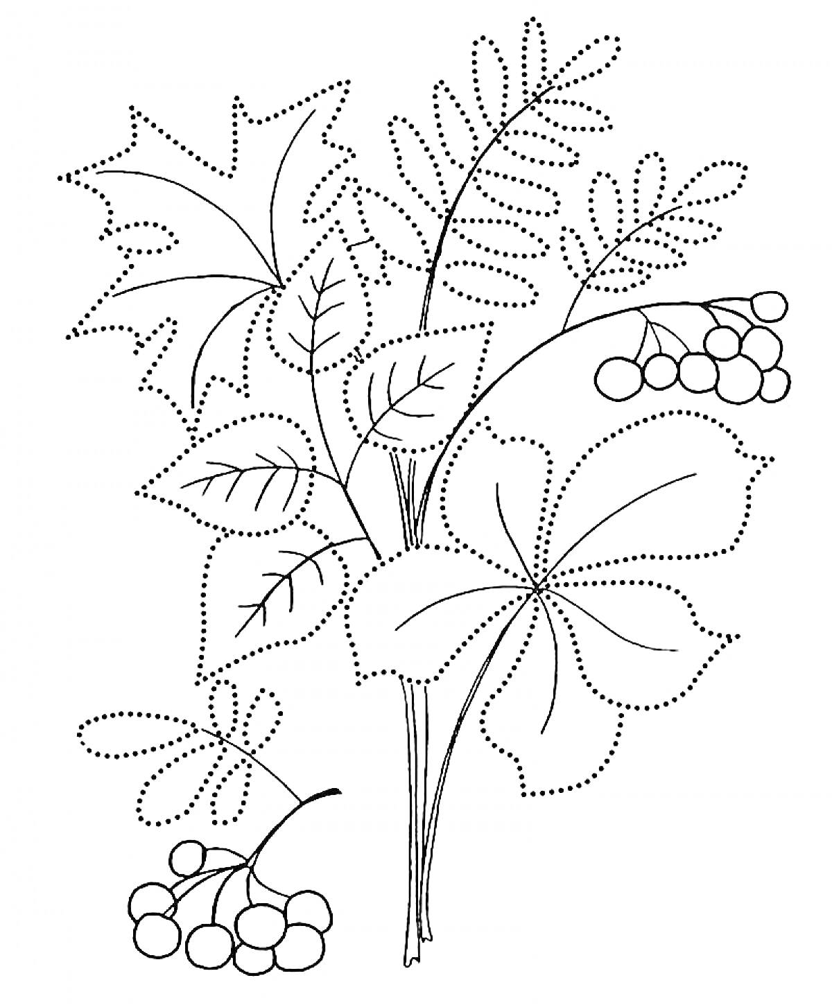 На раскраске изображено: Листья, Ягоды, Осень, Природа, Творчество, Для детей, Контурные рисунки