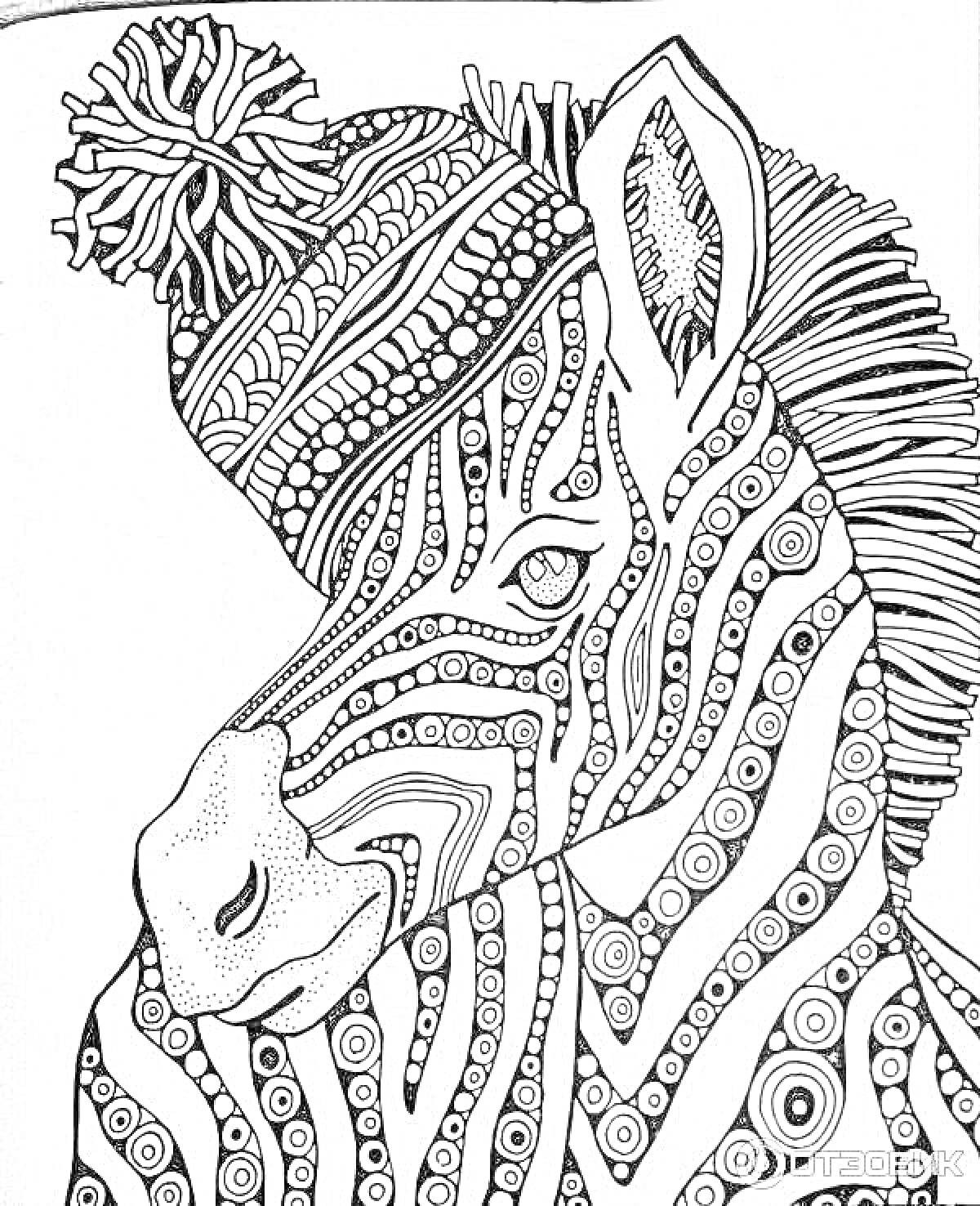 Раскраска Зебра в шапке с абстрактным узором