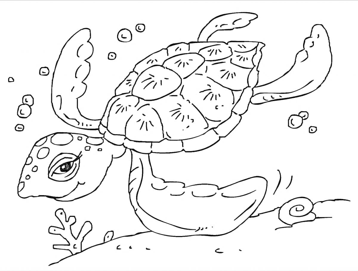 Раскраска Черепаха плавает под водой среди пузырей и кораллов, рядом с улиткой