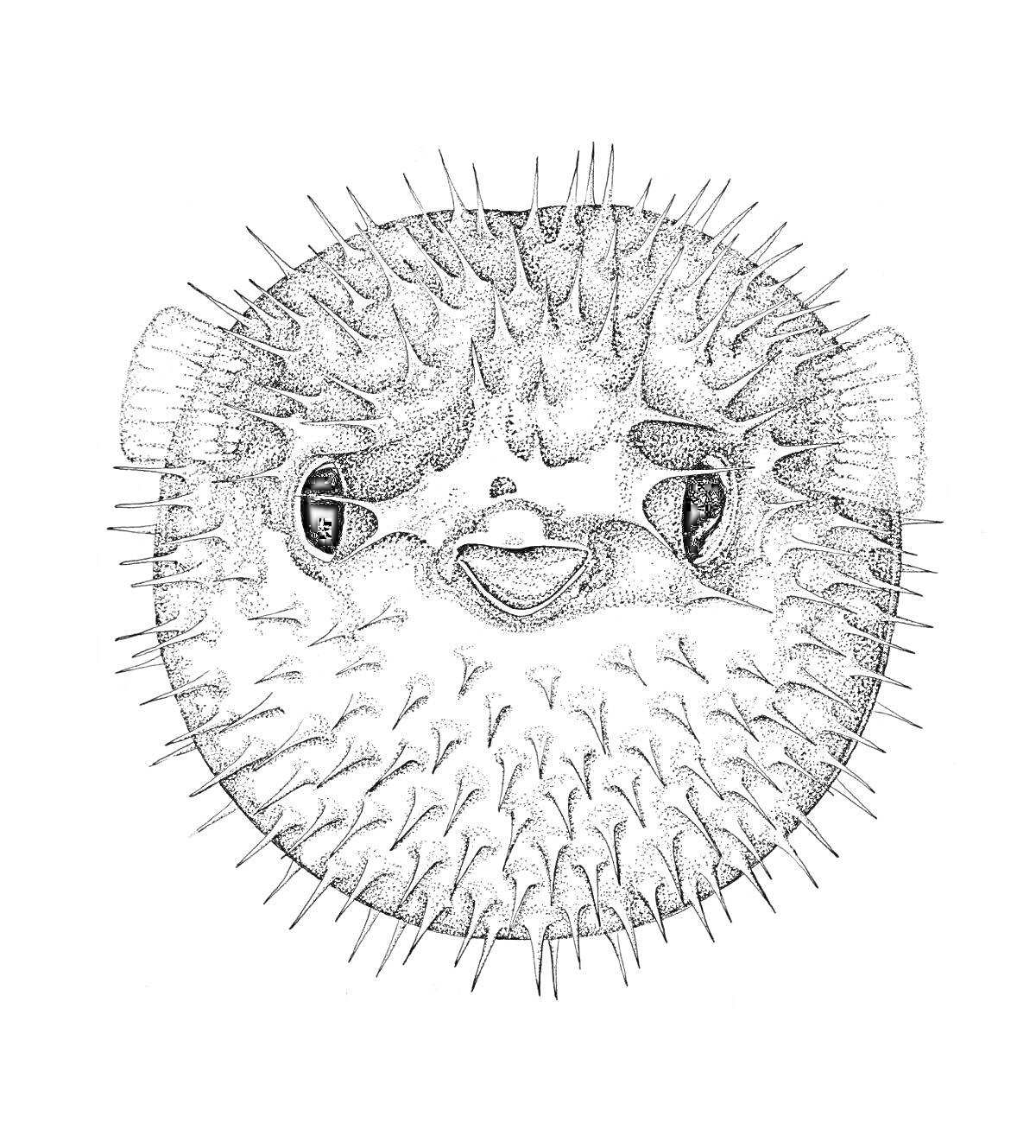 Раскраска с изображением рыбы-ежа с шипами