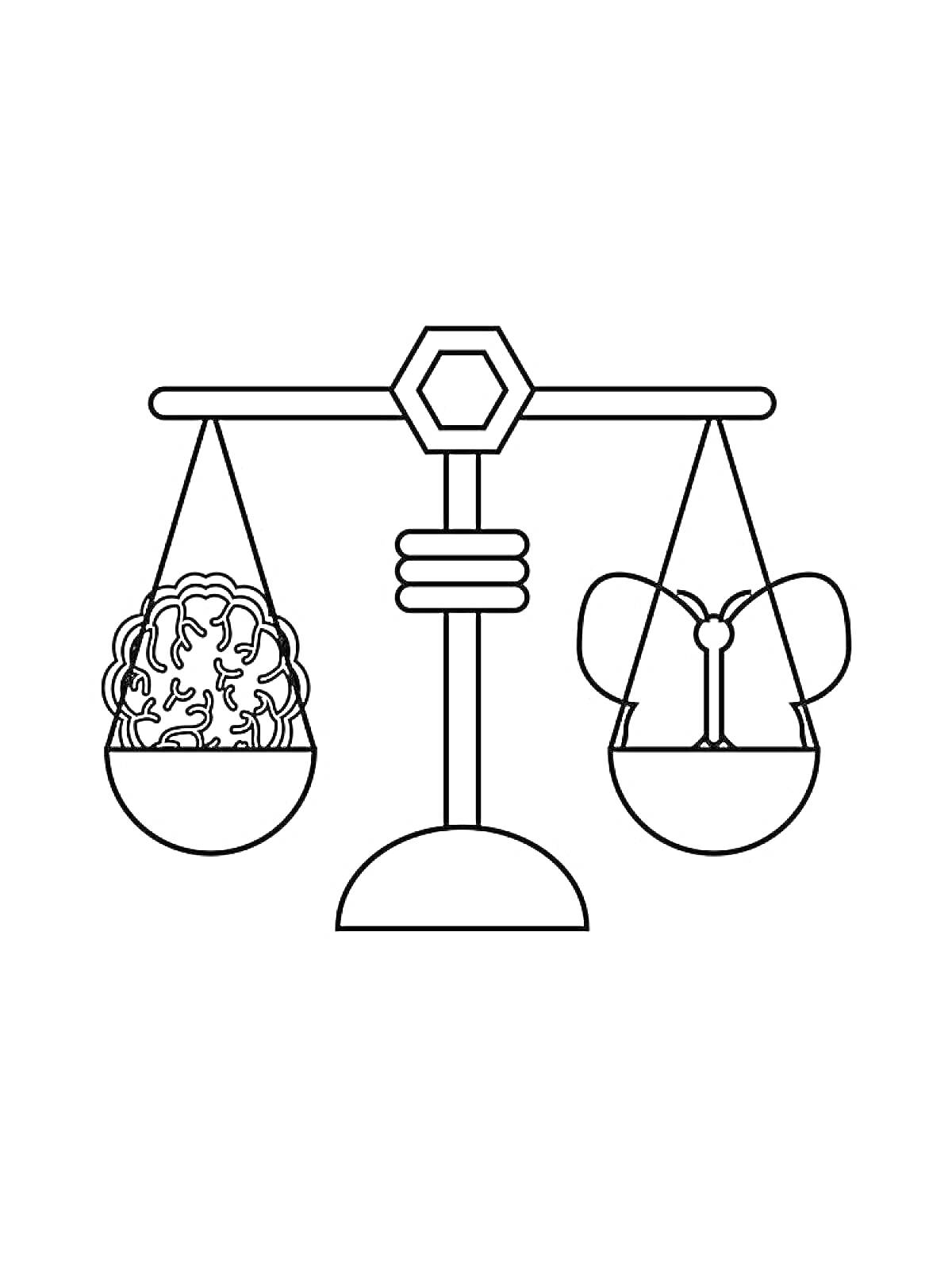 На раскраске изображено: Весы, Мозг, Бабочка, Равновесие, Наука, Природа, Баланс