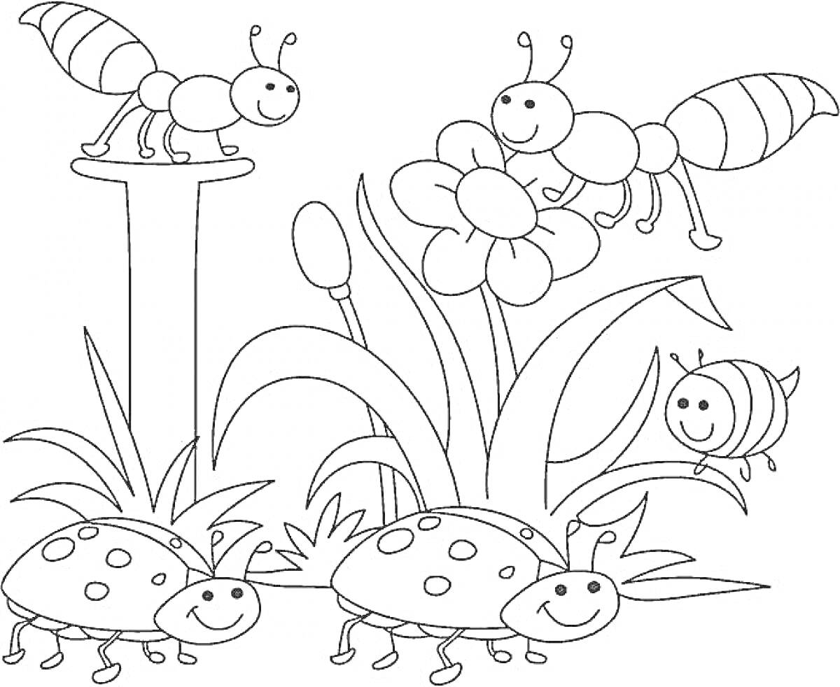 Раскраска Муравьи, божьи коровки, пчела и цветок среди травы