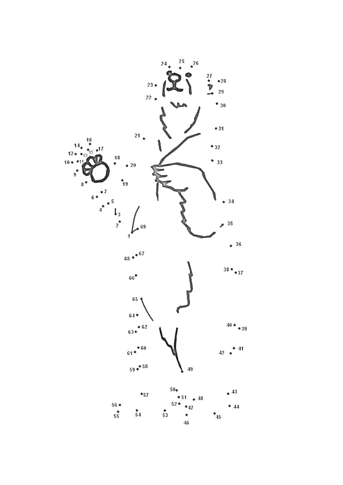 Раскраска Медведь по точкам с цветком и числовыми обозначениями