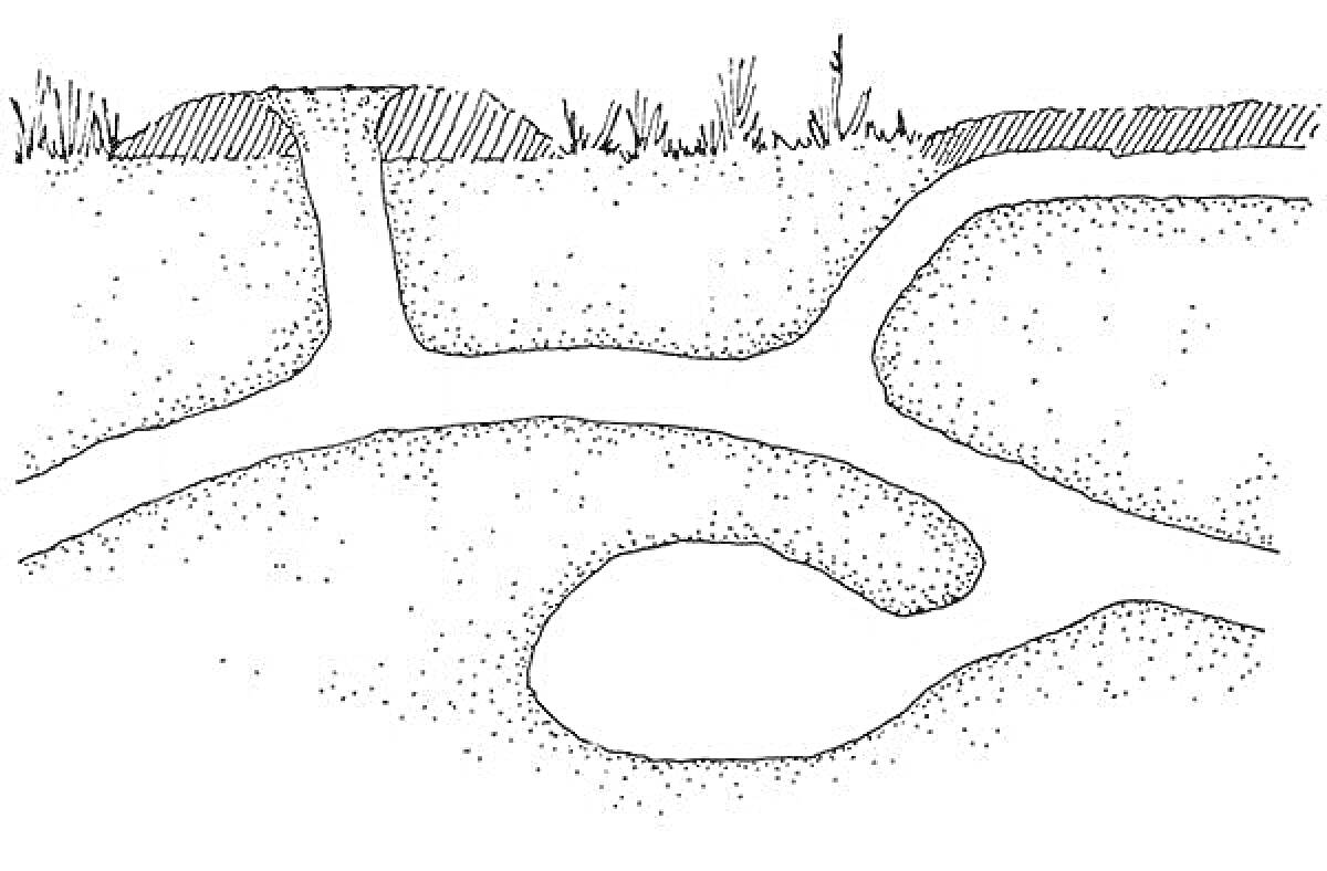 Раскраска Нора с подземными ходами и травой на поверхности