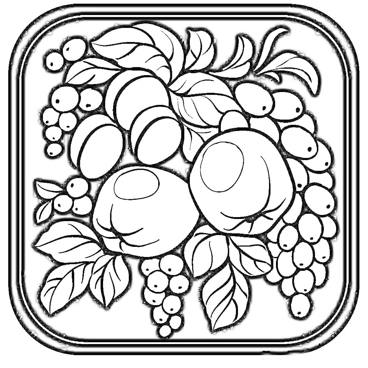 Раскраска Жостовский поднос с яблоками, виноградом и листьями