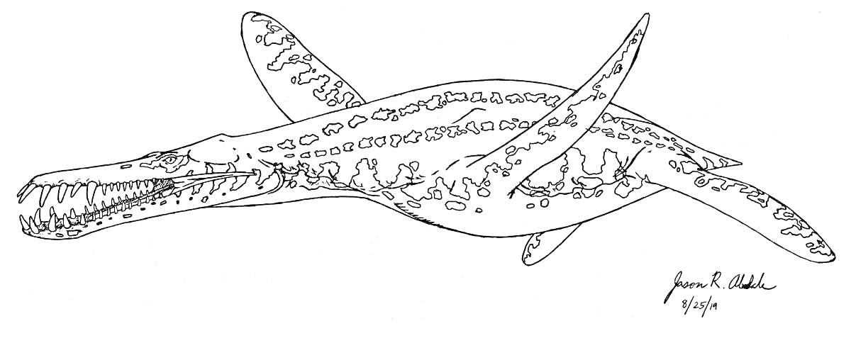 Раскраска Лиоплевродон с открытой пастью и двумя парами плавников