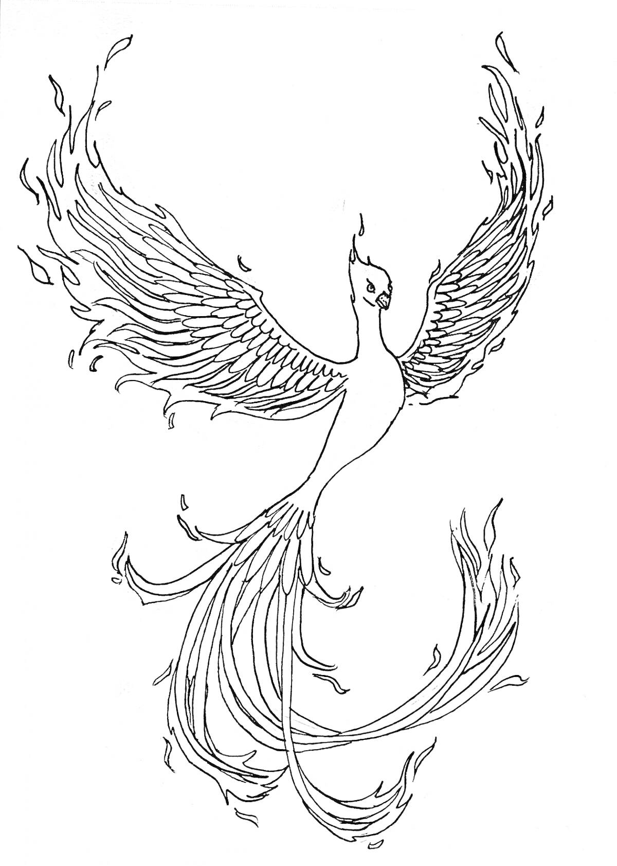 На раскраске изображено: Феникс, Птица, Крылья, Хвост, Огонь, Магия, Мифические существа