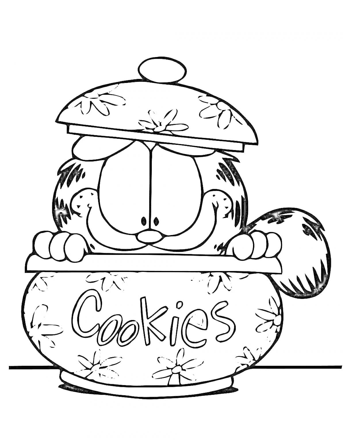 Раскраска Кот Басик прячется за банкой с печеньем
