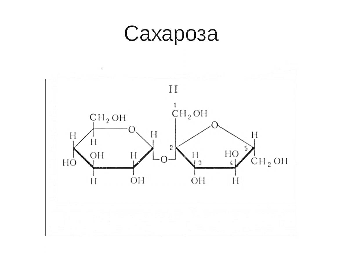 На раскраске изображено: Сахароза, Углерод, Водород, Кислород, Органическая химия