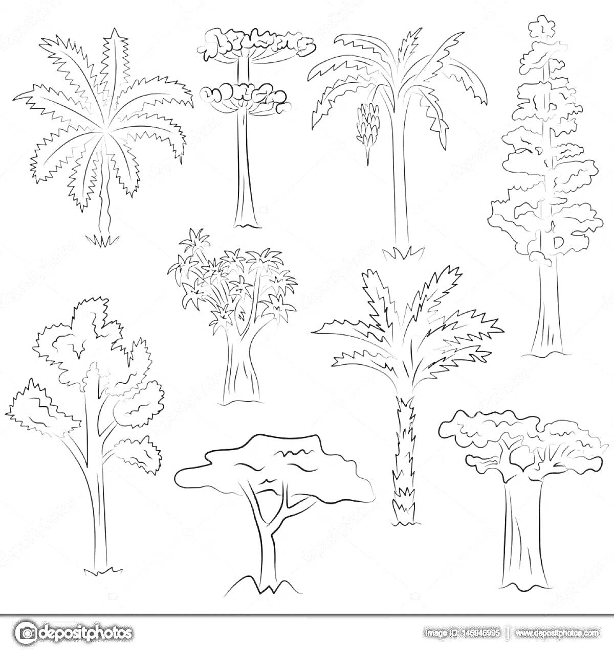 Раскраска Набор разных типов деревьев, в том числе пальм и кустов