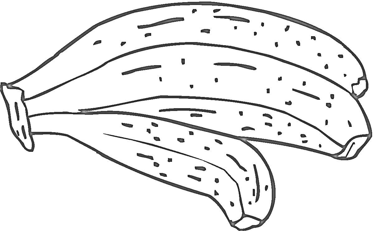 На раскраске изображено: Банан, Фрукты, Точечный узор, Три банана, Контурные рисунки