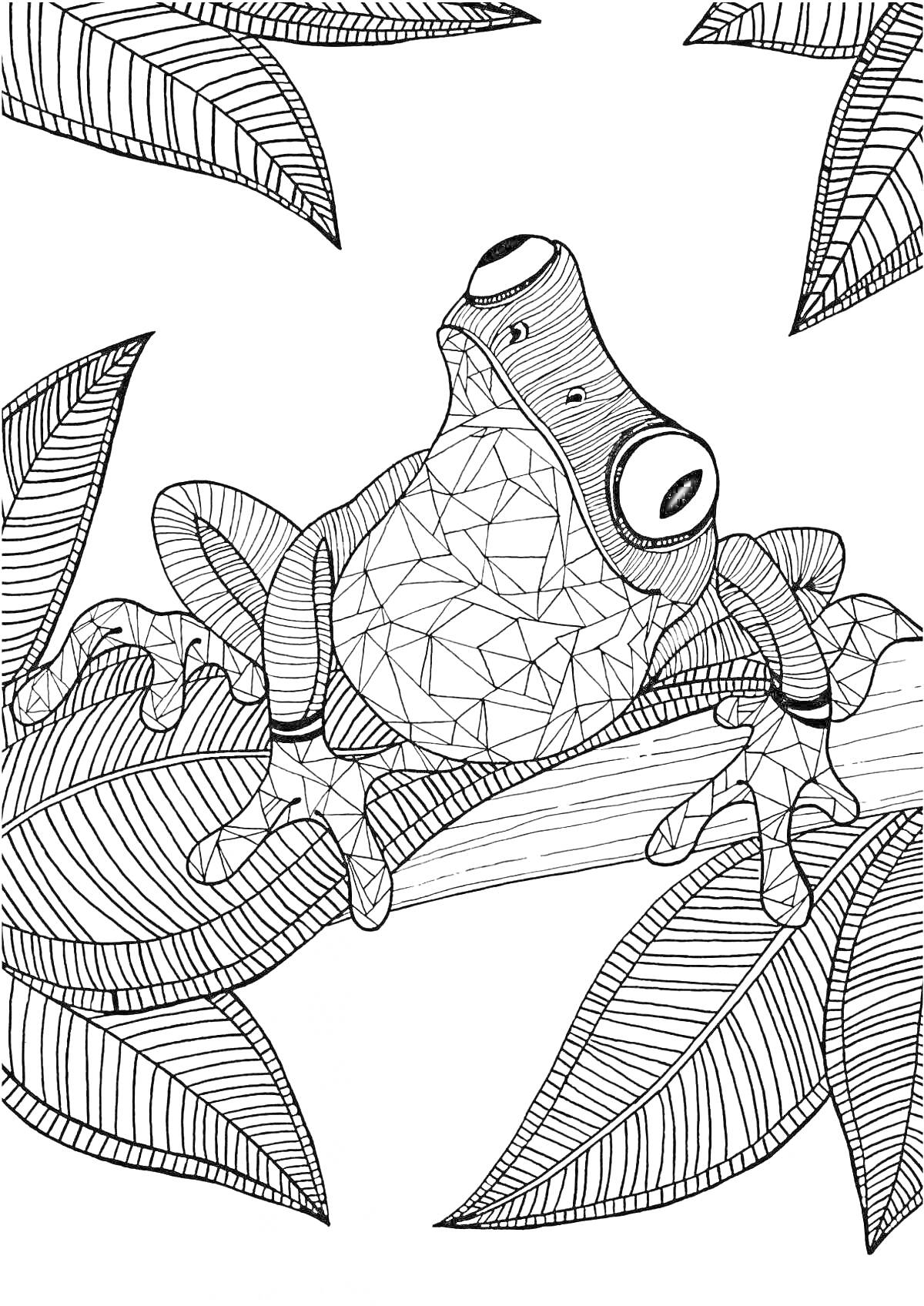 Раскраска Лягушка на ветке с листьями