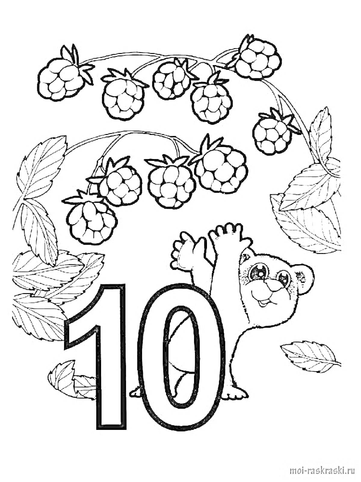 На раскраске изображено: Цифры, Число 10, Малина, Ягоды, Листья, Обучение, Природа, Для детей, Медведь