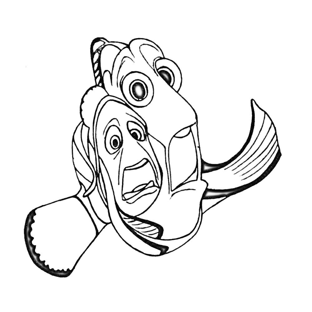 Раскраска Перепуганные рыбы-клоуны из 