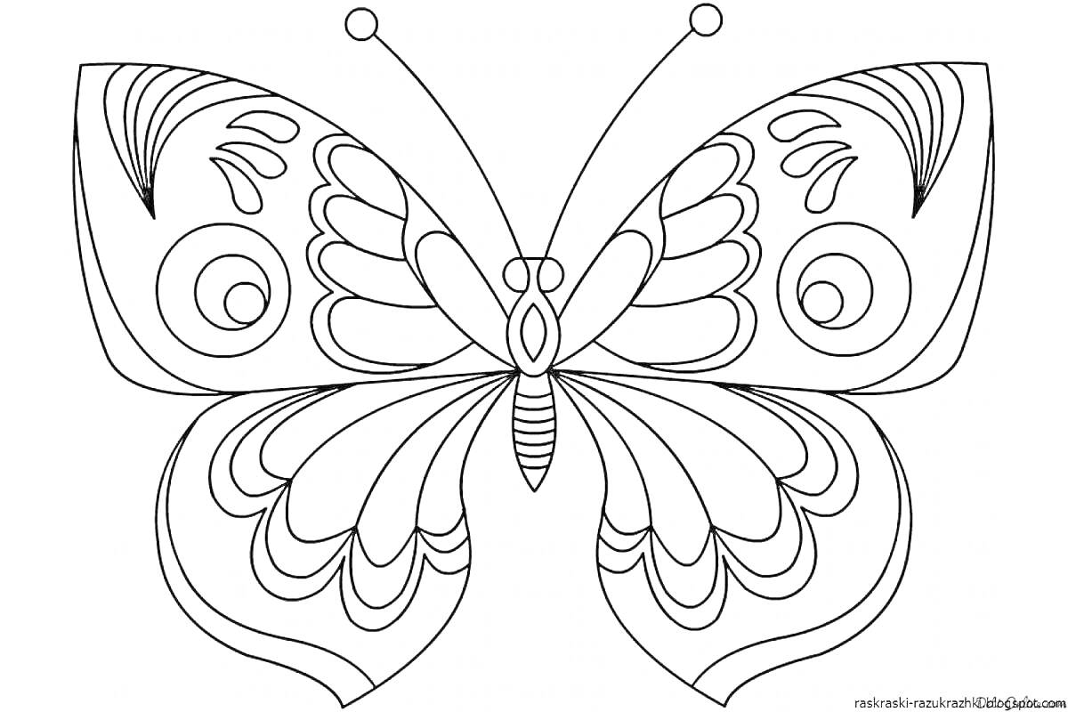 Раскраска Раскраска большого разноцветного рисунка бабочки с узорами на крыльях