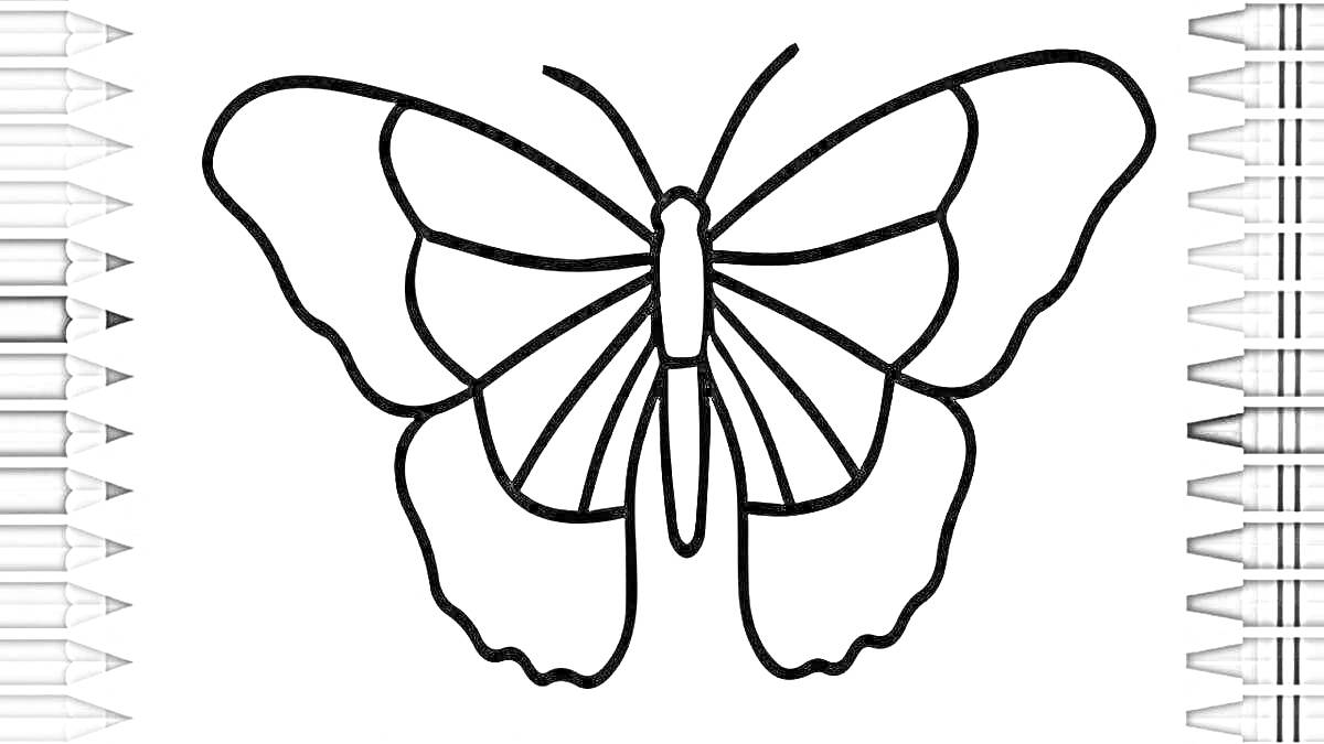 Раскраска Бабочка с карандашами для раскрашивания
