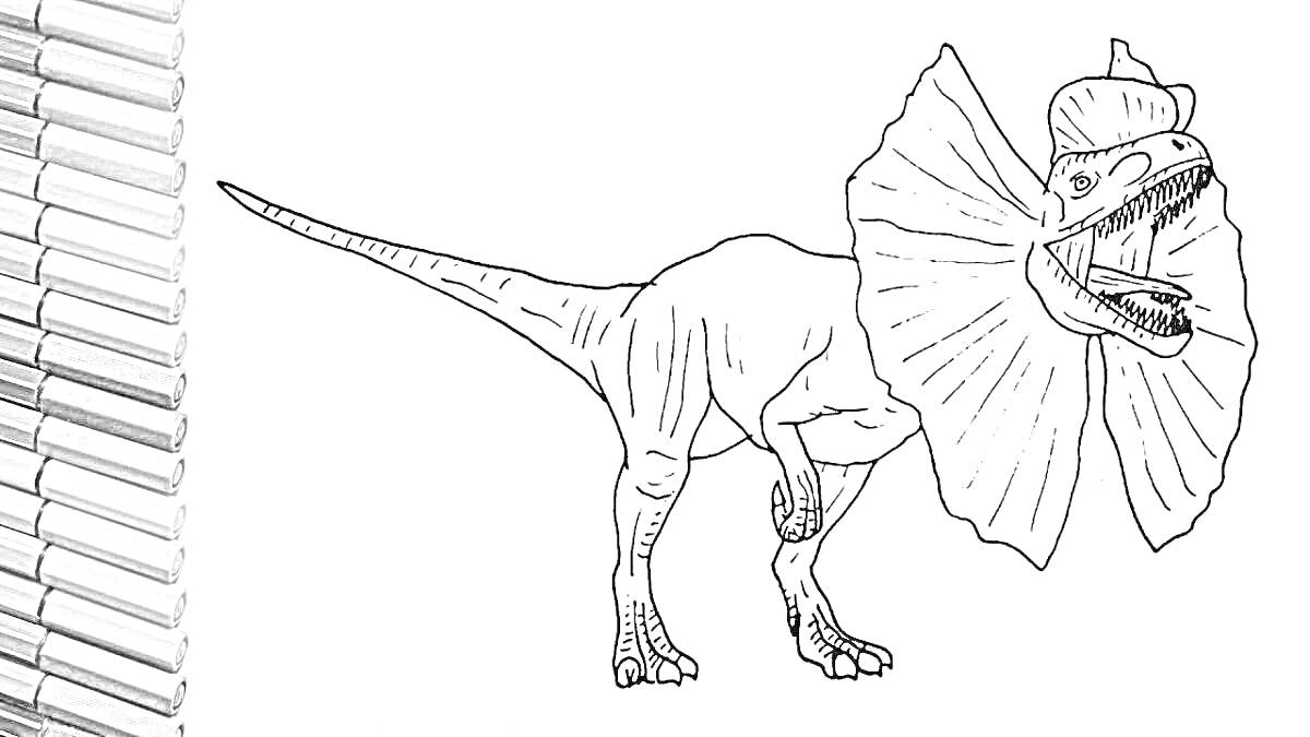 Раскраска Дилофозавр с раскрытым воротником и комплектом цветных карандашей