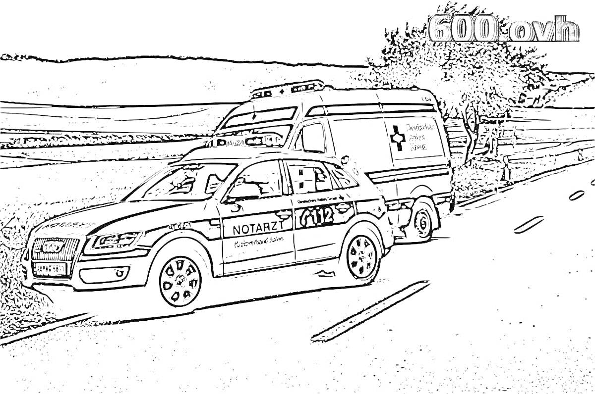 На раскраске изображено: Полицейская машина, Микроавтобус, Деревья, Поле, Природа, Небо, Экстренные службы