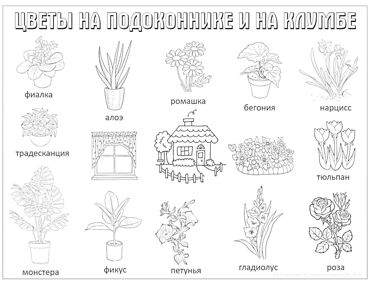 На раскраске изображено: Комнатные растения, Фиалка, Домик, Сад, Клумба, Тюльпаны, Растения, Ромашка, Розы, Нарциссы