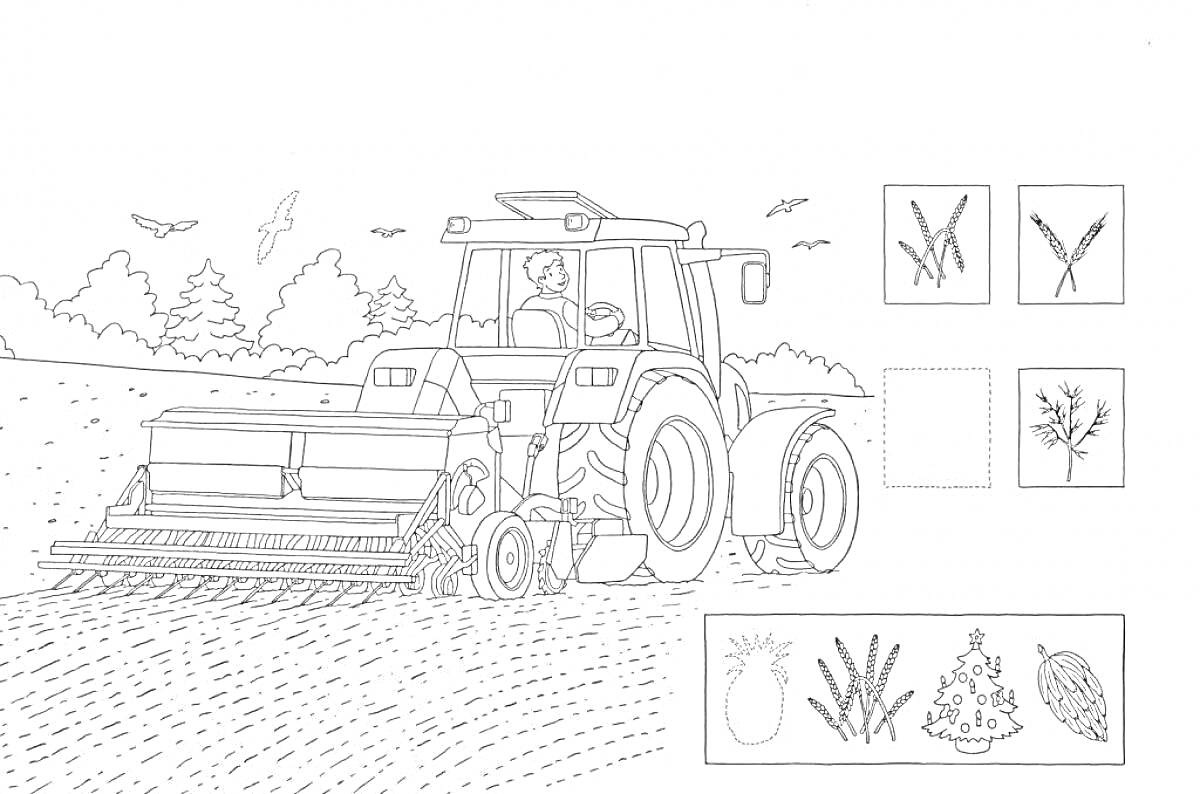 Раскраска Трактор с сеялкой на поле под птичьим небом с изображением деревьев и растительных элементов