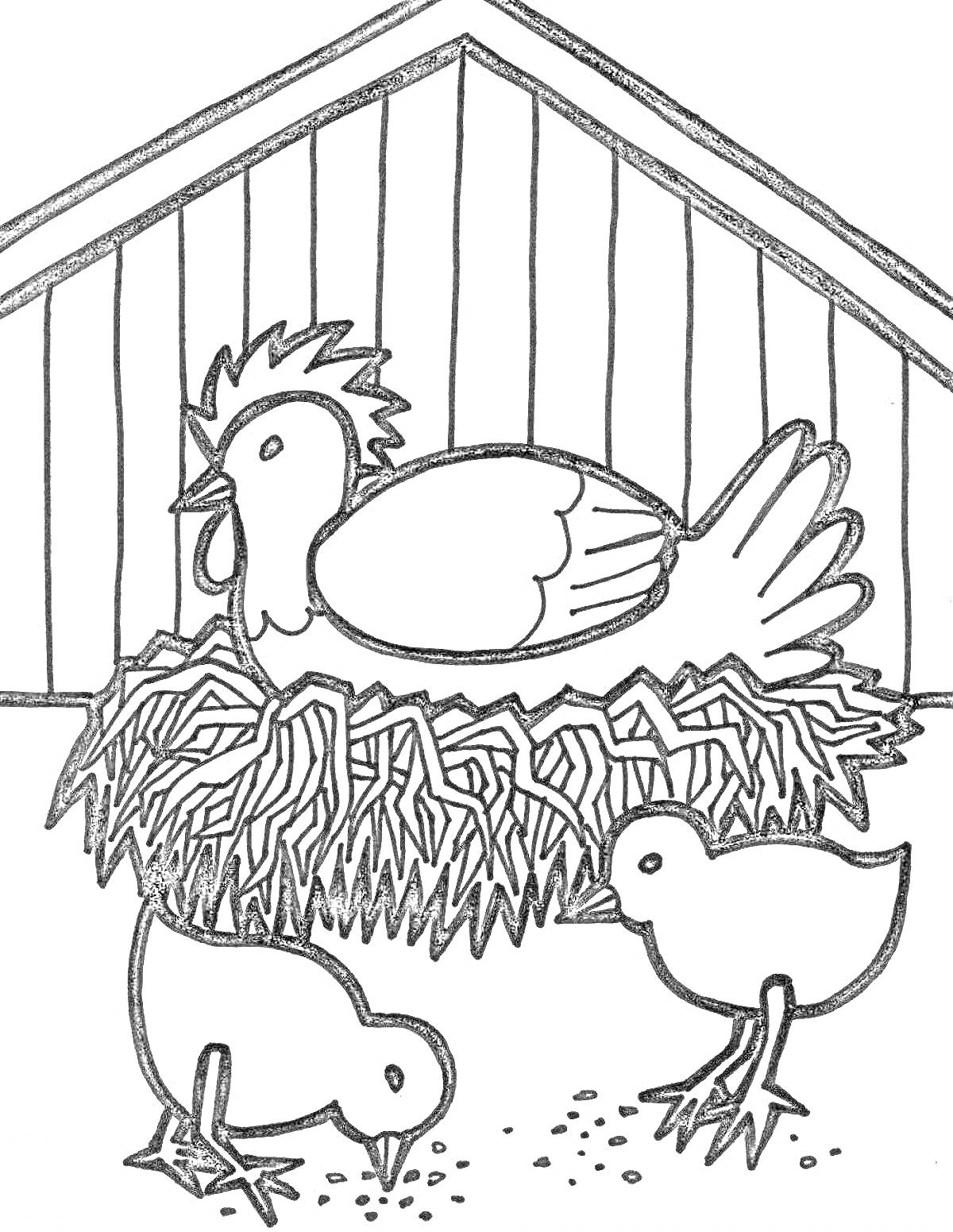 На раскраске изображено: Гнездо, Цыплята, Здание, Ферма, Корм, Курицы