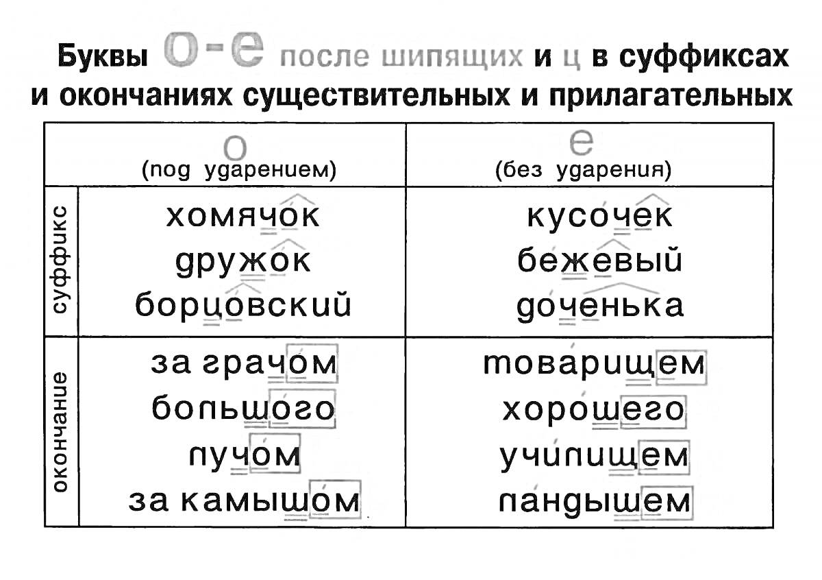 На раскраске изображено: Правописание, Шипящие, Существительные, Прилагательные, Суффиксы, Окончания, Таблица, Хомячок, Дружок, Кусочек, Бежевый, Большой