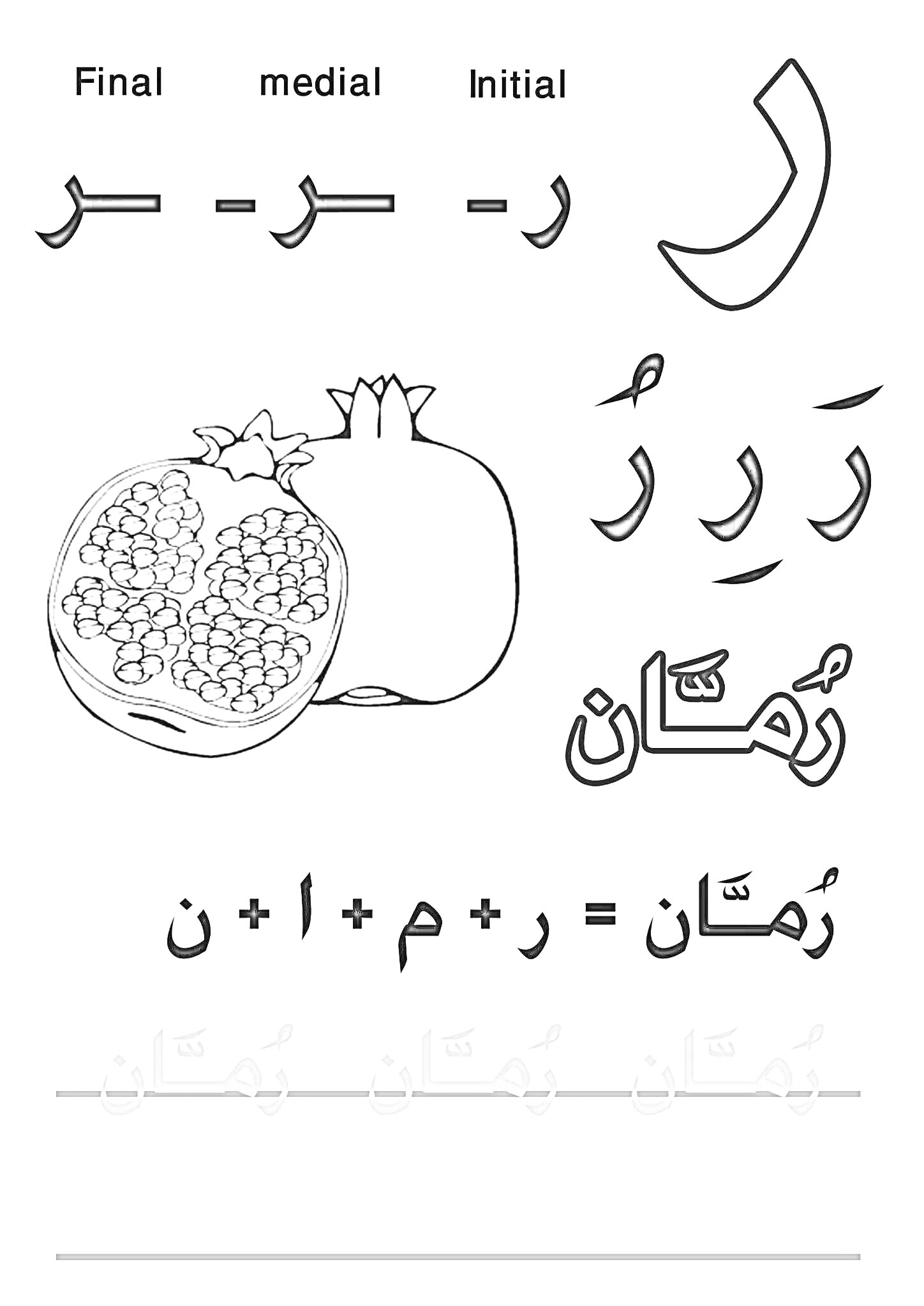 На раскраске изображено: Арабские буквы, Алфавит, Обучение, Гранат
