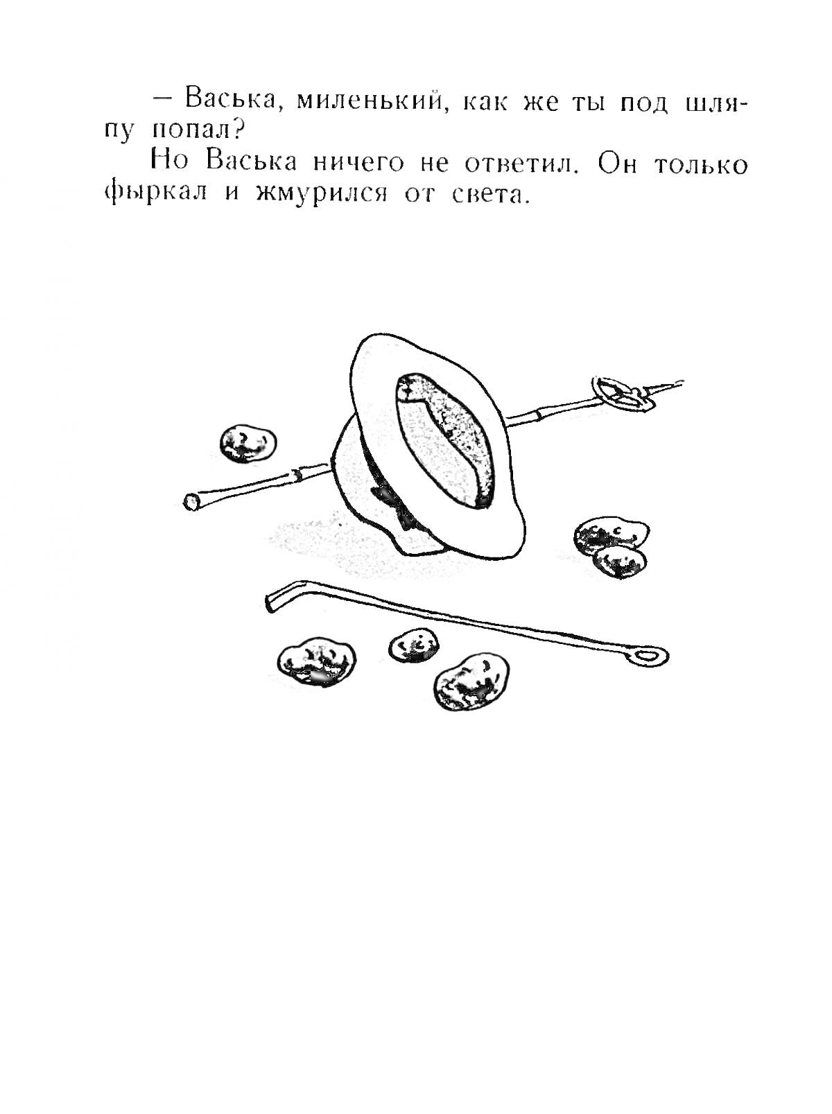 Раскраска Шляпа с элементами: палочки, камни, Васька