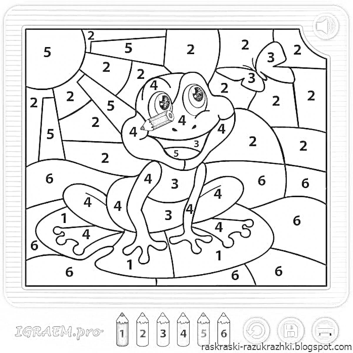 Раскраска Лягушка на кувшинке с пронумерованными участками для раскраски