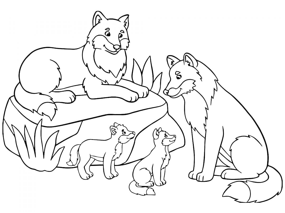 На раскраске изображено: Лиса, Волк, Детеныши, Животные, Природа, Кусты, Семья, Лес, Дружба