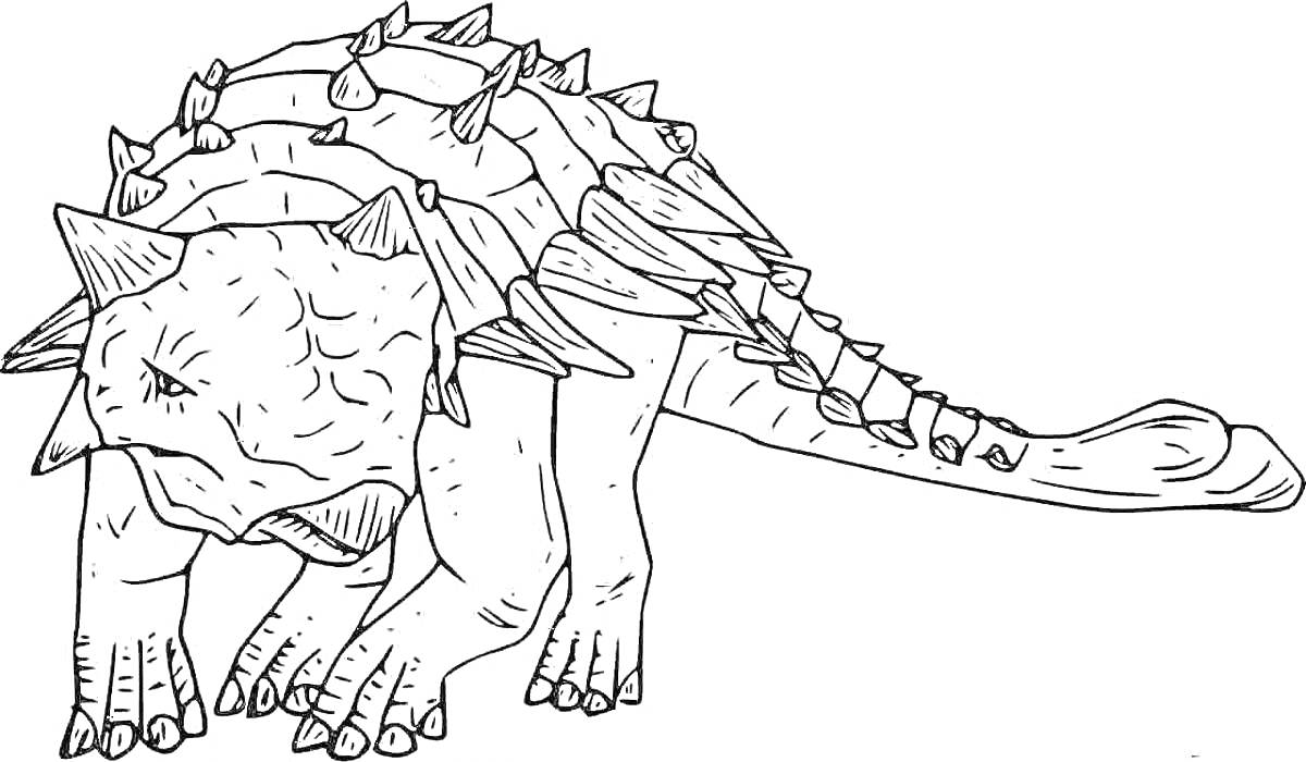 Раскраска Анкилозавр с шипами и пластинами на спине