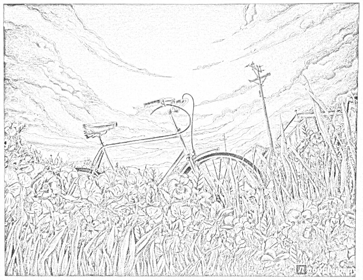 Раскраска Велосипед на поле с цветами на фоне гор и неба с облаками