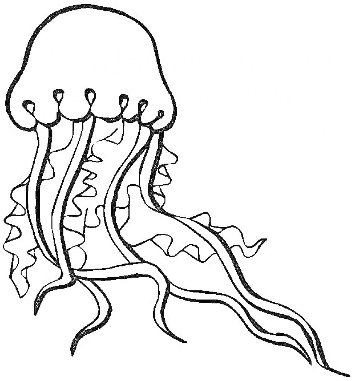 Медуза с длинными щупальцами и волнистыми линиями