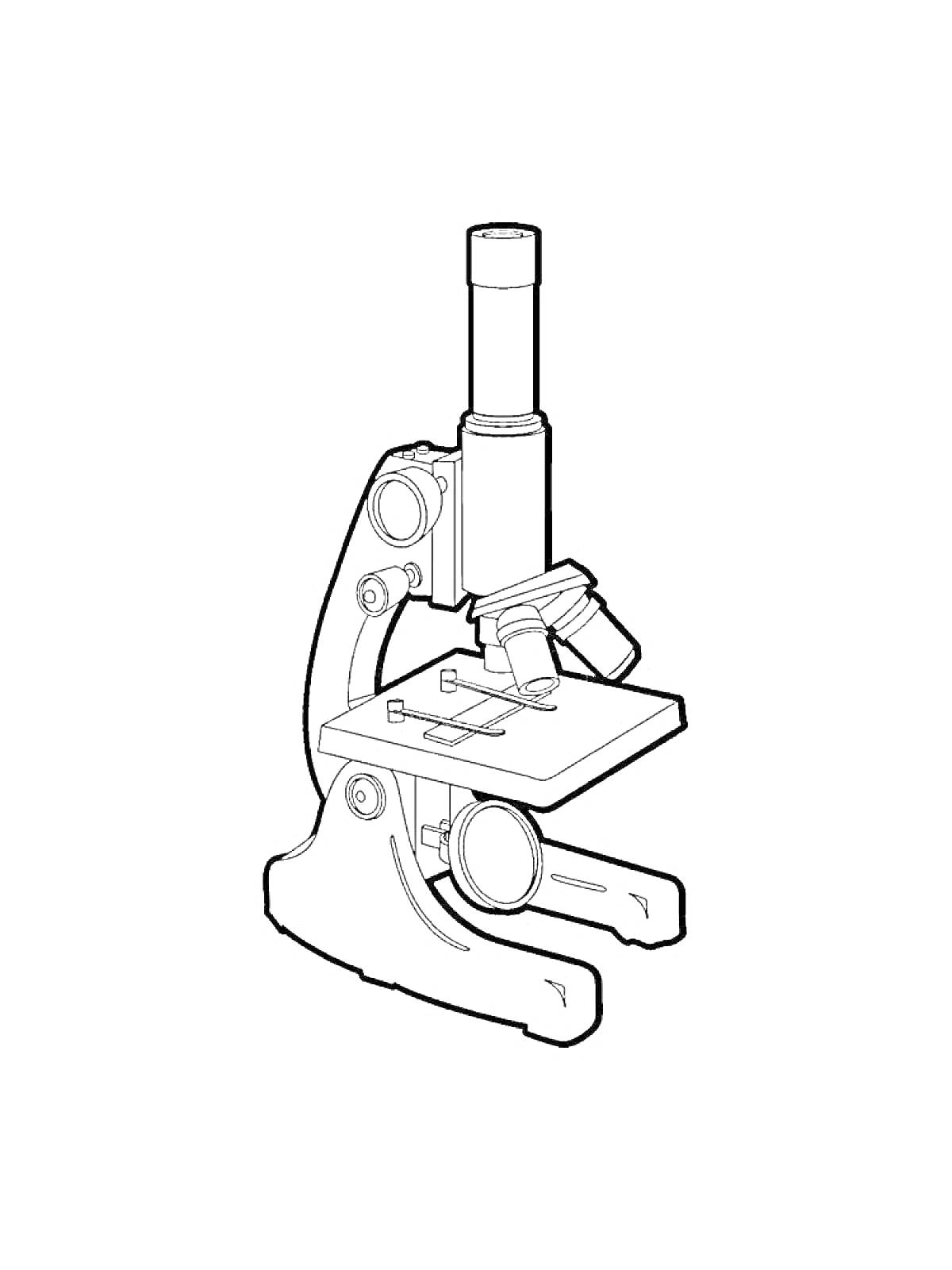 Микроскоп с объективами, окуляром, тубусом, фокусировочными ручками и предметным столиком