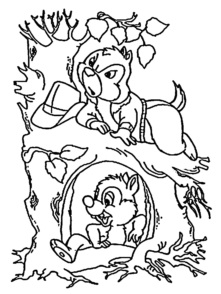 Чип и Дейл на дереве: Дейл в шляпе сидит на ветке, Чип выглядывает из дупла