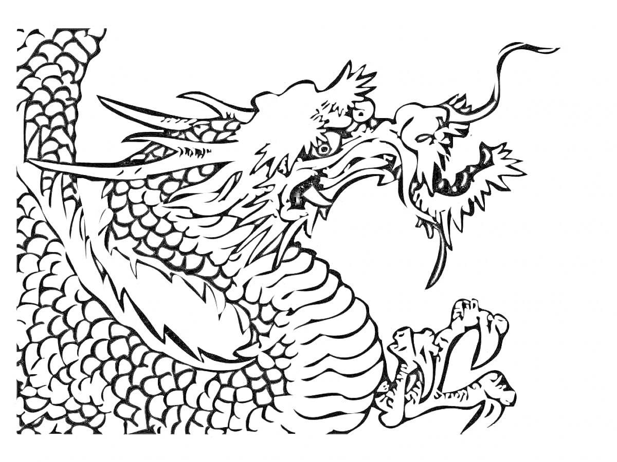Раскраска Китайский дракон, дракон с большими чешуйками, выраженная морда дракона, острые зубы и длинные усы, когтистые лапы.
