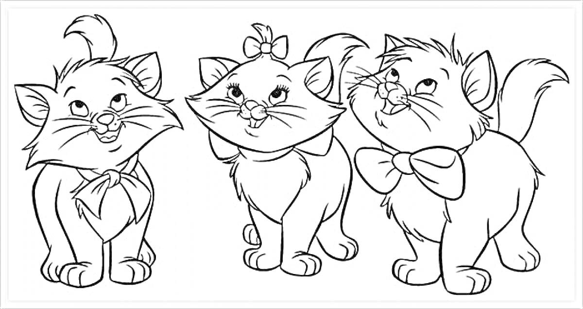 Раскраска Три котенка с бантами