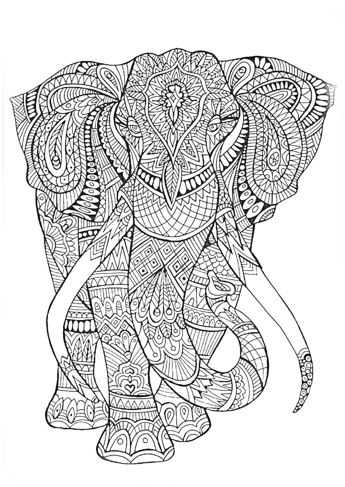 Раскраска Раскраска-антистресс слон с узорами