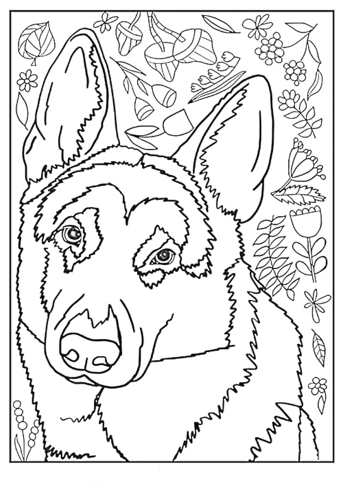 Раскраска Овчарка с ботаническим фоном