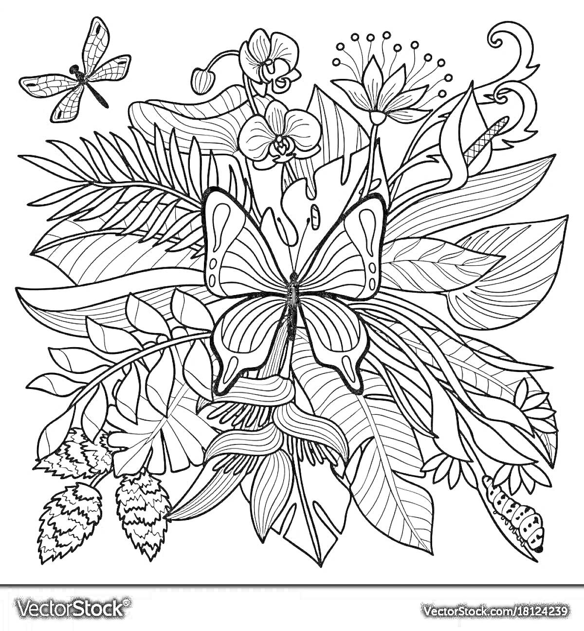 На раскраске изображено: Бабочка, Листья, Природа, Орхидея, Декоративные цветы, Бутон