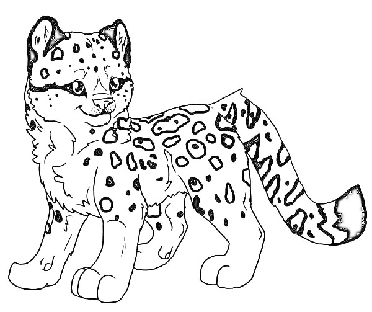 Раскраска Леопард-снежный барс с узорами (детёныш)